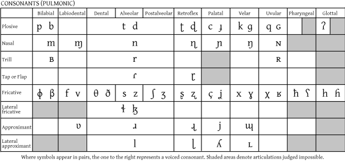 IPA Consonants Chart