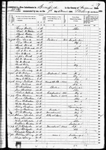 19th Century Census