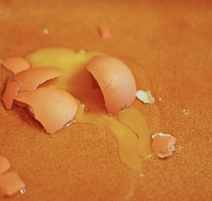 A Cracked Egg