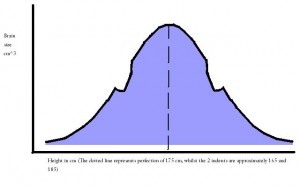 Bell Curve